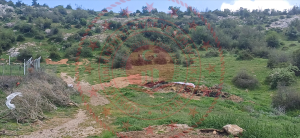 Balıkesir Kepsut Armutlu Köyü Milli Emlak'tan Satılık 318,43 m2 Tarla