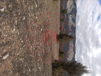 Karaman Ermenek İkizçınar Köyü Milli Emlak'tan Satılık 5.844,13 m2 Tarla