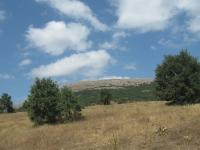 Amasya Merkez Yassıçal - Gölönü Mahallesi Milli Emlak'tan Satılık 1.238,63 m2 Tarla