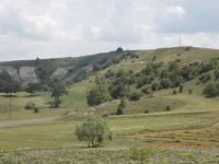 Kütahya Merkez Eskiyüreğil Köyü Milli Emlak'tan Satılık 2.412,02 m2 Tarla