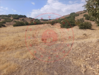 Bingöl Merkez Gürpınar Köyü Milli Emlak'tan Satılık 964,64 m2 Tarla