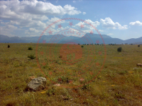 Konya Beyşehir Hüseyinler Köyü Milli Emlak'tan Satılık 13.222,09 m2 Tarla