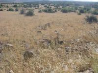 Erzincan Kemaliye Kışlacık Köyü Milli Emlak'tan Satılık 8.801,08 m2 Tarla