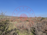 Balıkesir Karesi Çaypınar Köyü Milli Emlak'tan Satılık 21.354,52 m2 Tarla