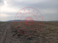 Aksaray Merkez Küçükgüve Köyü Milli Emlak'tan Satılık 10.000,00 m2 Tarla