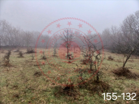 Bolu Yeniçağa Kemaller Köyü Milli Emlak'tan Satılık 11.103,81 m2 Tarla