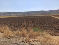 Bingöl Merkez Dik Köyü Milli Emlak'tan Satılık 3.247,12 m2 Tarla