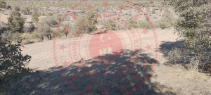 Uşak Eşme Saraycık Köyü Milli Emlak'tan Satılık 2.315,60 m2 Tarla