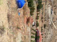 Ankara Kalecik Koyunbaba Mahallesi Milli Emlak'tan Satılık 549,99 m2 Tarla