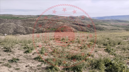 Çorum Merkez Yoğunpelit Köyü Milli Emlak'tan Satılık 10.884,29 m2 Tarla