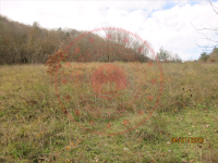 Samsun Bafra Dereler Köyü Milli Emlak'tan Satılık 603,05 m2 Tarla