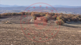 Çorum Merkez Kalehisar Köyü Milli Emlak'tan Satılık 1.974,88 m2 Tarla