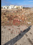 Şırnak Güçlükonak Gümüşyazı Köyü Milli Emlak'tan Satılık 806,09 m2 Arsa
