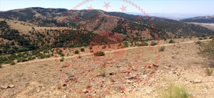 Kırıkkale Balışeyh Uzunlar Köyü Milli Emlak'tan Satılık 1.000,00 m2 Tarla