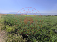 Bingöl Merkez Çeltiksuyu Köyü Milli Emlak'tan Satılık 1.174,37 m2 Tarla