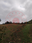 Kastamonu Merkez Hasköy Köyü Milli Emlak'tan Satılık 8.428,06 m2 Tarla