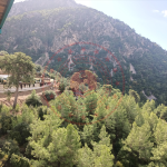 Muğla Fethiye Karaağaç Köyü Milli Emlak'tan Satılık 15.537,77 m2 Tarla