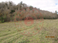 Samsun Bafra Dereler Köyü Milli Emlak'tan Satılık 443,01 m2 Tarla