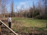 Düzce Merkez Yenikaraköy Köyü Milli Emlak'tan Satılık 860,74 m2 Tarla