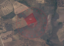 Tekirdağ Şarköy Tepeköy Köyü Milli Emlak'tan Satılık 3.400,23 m2 Tarla