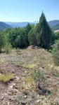Karabük Eskipazar Köyceğiz Köyü Milli Emlak'tan Satılık 1.042,68 m2 Tarla