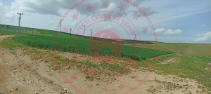Kırıkkale Merkez Karacali Köyü Milli Emlak'tan Satılık 3.300,00 m2 Tarla