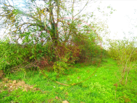 Düzce Merkez Çavuşlar Köyü Milli Emlak'tan Satılık 16,07 m2 Tarla