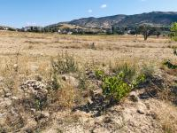 Niğde Çiftlik Kitreli - Ulucami Mahallesi Milli Emlak'tan Satılık 23.929,31 m2 Tarla