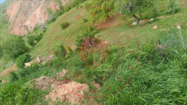 Gümüşhane Kelkit Salördek Köyü Milli Emlak'tan Satılık 2.977,89 m2 Tarla