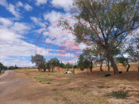 Konya Hüyük Görünmez Köyü Milli Emlak'tan Satılık 537,28 m2 Tarla