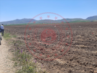 Sivas Merkez Dikmencik Köyü Milli Emlak'tan Satılık 2.450,95 m2 Tarla