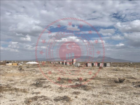 Konya Karapınar Reşadiye Mahallesi Milli Emlak'tan Satılık 2.014,04 m2 Tarla