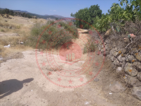 Çanakkale Ayvacık Korubaşı Köyü Milli Emlak'tan Satılık 143,57 m2 Tarla