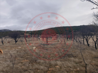 Afyonkarahisar Dinar Çapalı Köyü Milli Emlak'tan Satılık 4.302,35 m2 Tarla