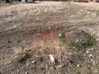 Afyonkarahisar Dinar Çiçektepe - Atatürk Mahallesi Milli Emlak'tan Satılık 509,91 m2 Arsa