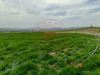 Nevşehir Gülşehir Emmiler Köyü Milli Emlak'tan Satılık 20.103,54 m2 Tarla