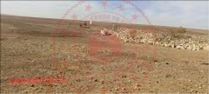 Konya Sarayönü Çeşmelisebil Kasabası Milli Emlak'tan Satılık 1.202,00 m2 Tarla