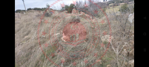 Denizli Honaz Ovacık Köyü Milli Emlak'tan Satılık 5.593,32 m2 Tarla