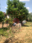 Çankırı Korgun Karatekin Köyü Milli Emlak'tan Satılık 271,01 m2 Tarla