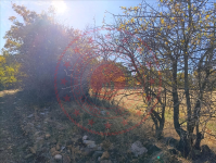 Konya Beyşehir Akçabelen Kasabası Milli Emlak'tan Satılık 1.785,93 m2 Tarla