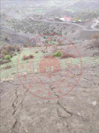 Bingöl Genç Harmancık Köyü Milli Emlak'tan Satılık 20.000,00 m2 Tarla