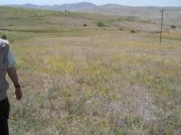 Sivas İmranlı Karlık Köyü Milli Emlak'tan Satılık 9.427,11 m2 Tarla