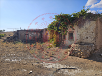 Kırşehir Merkez Sıdıklı - Büyükoba Köyü Milli Emlak'tan Satılık 505,66 m2 Tarla