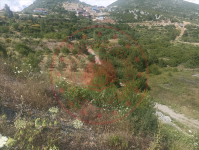 Antalya Alanya Güzelbağ - Zafer Mahallesi Milli Emlak'tan Satılık 260,56 m2 Tarla