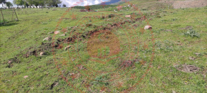 Bingöl Merkez Güveçli Köyü Milli Emlak'tan Satılık 373,71 m2 Tarla