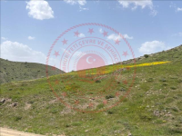 Malatya Kuluncak Göğebakan Köyü Milli Emlak'tan Satılık 11.155,94 m2 Tarla