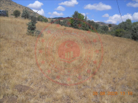 Bolu Gerede Aşağı Ovacık Köyü Milli Emlak'tan Satılık 4.481,44 m2 Tarla