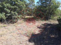 Konya Beyşehir Üzümlü Kasabası Milli Emlak'tan Satılık 102,98 m2 Tarla