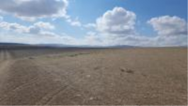Nevşehir Gülşehir Abuşağı - 100. Yıl Mahallesi Milli Emlak'tan Satılık 9.233,32 m2 Tarla