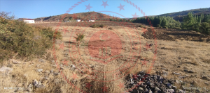 Sivas Merkez Olukman Köyü Milli Emlak'tan Satılık 4.401,64 m2 Tarla